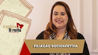 Explica Direito Filiação Socioafetiva  2019 [upl. by Aihsat]